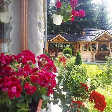Magurskie Bywanie Witów Exteriér fotografie