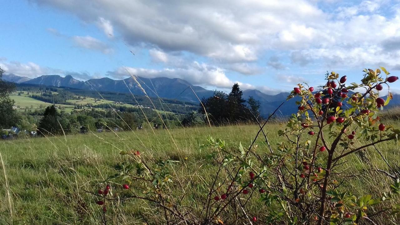 Magurskie Bywanie Witów Exteriér fotografie