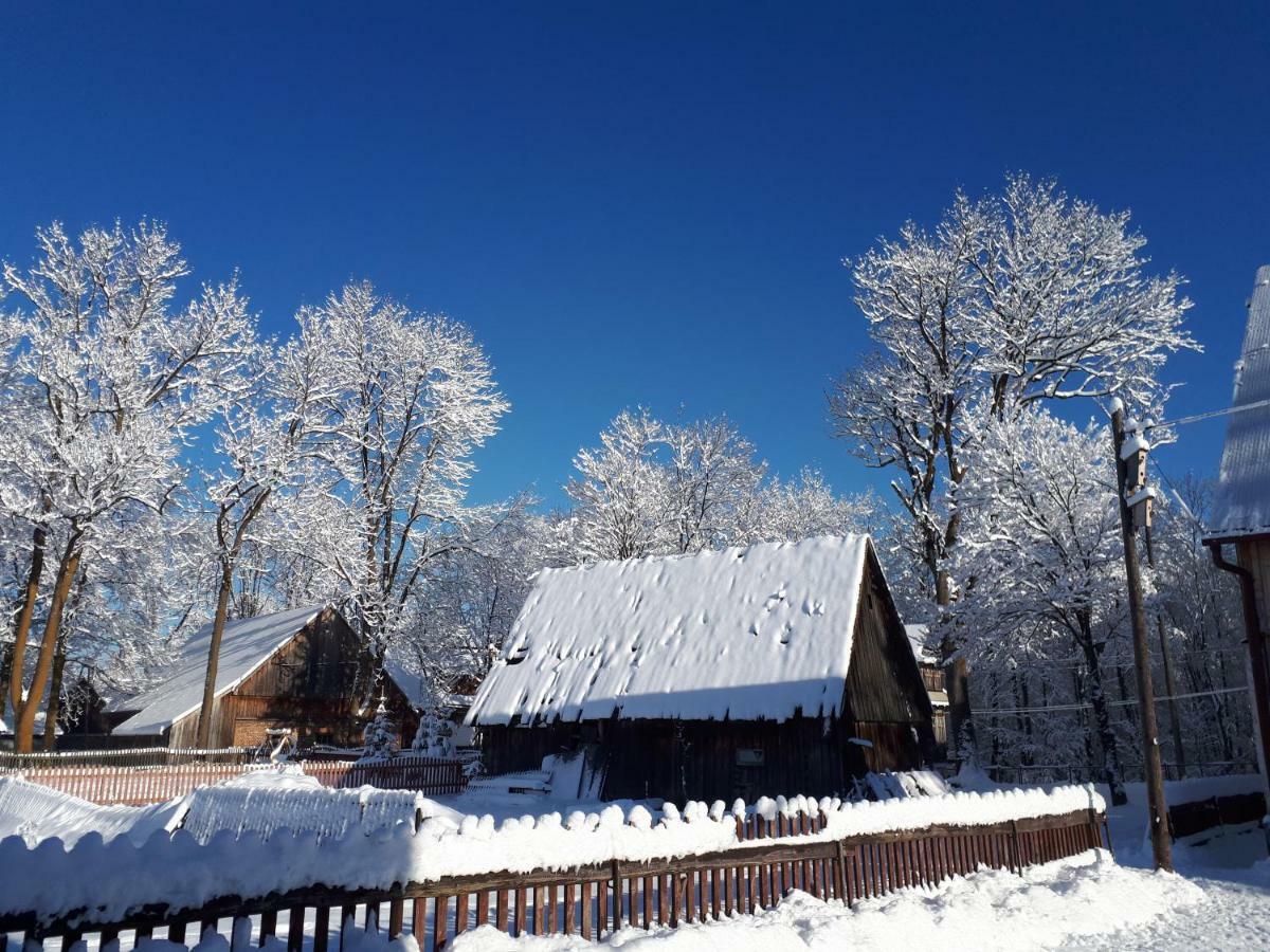 Magurskie Bywanie Witów Exteriér fotografie