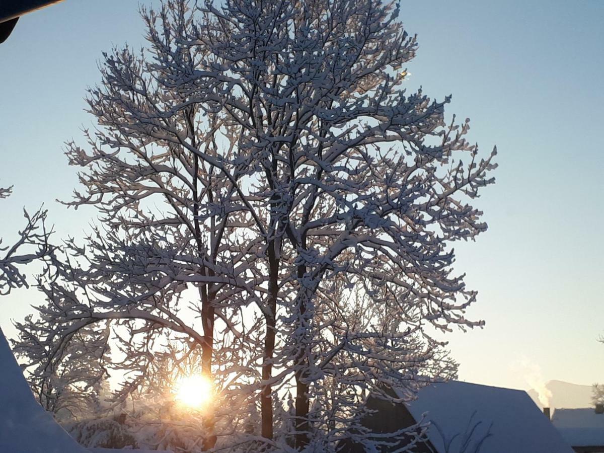 Magurskie Bywanie Witów Exteriér fotografie